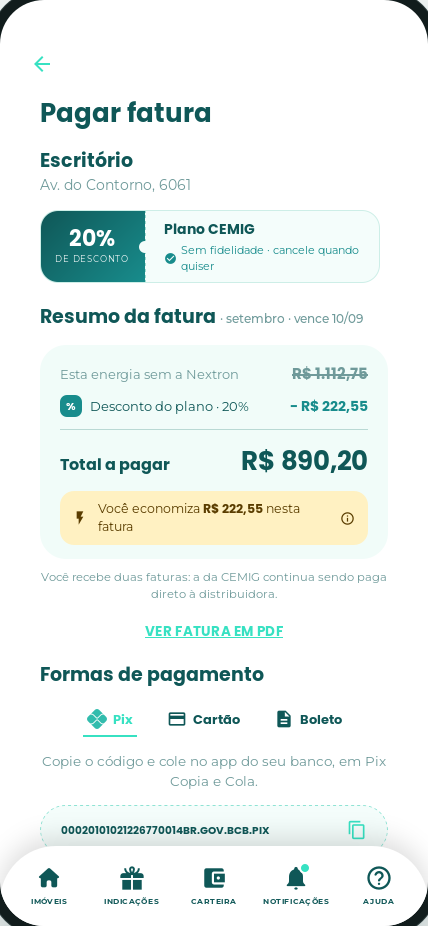Tela do app: resumo da fatura com a conta da distribuidora e a da Nextron
